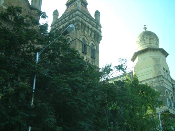 Looking up above trees to towers in English and Indian styles